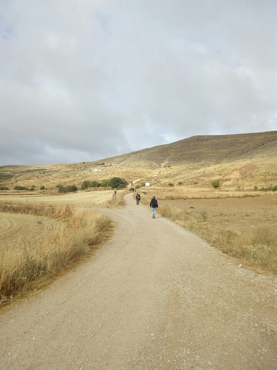 Pad tafelberg