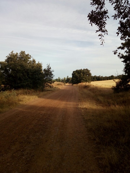 Lege camino?
