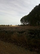 Natuur
