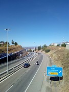 León in de verte