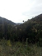 Bierzo!