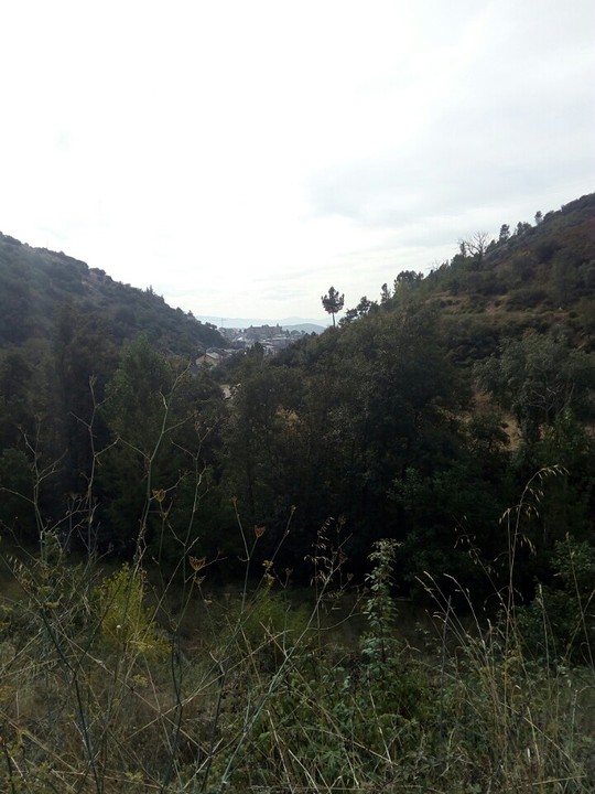 Bierzo!