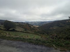 The way......