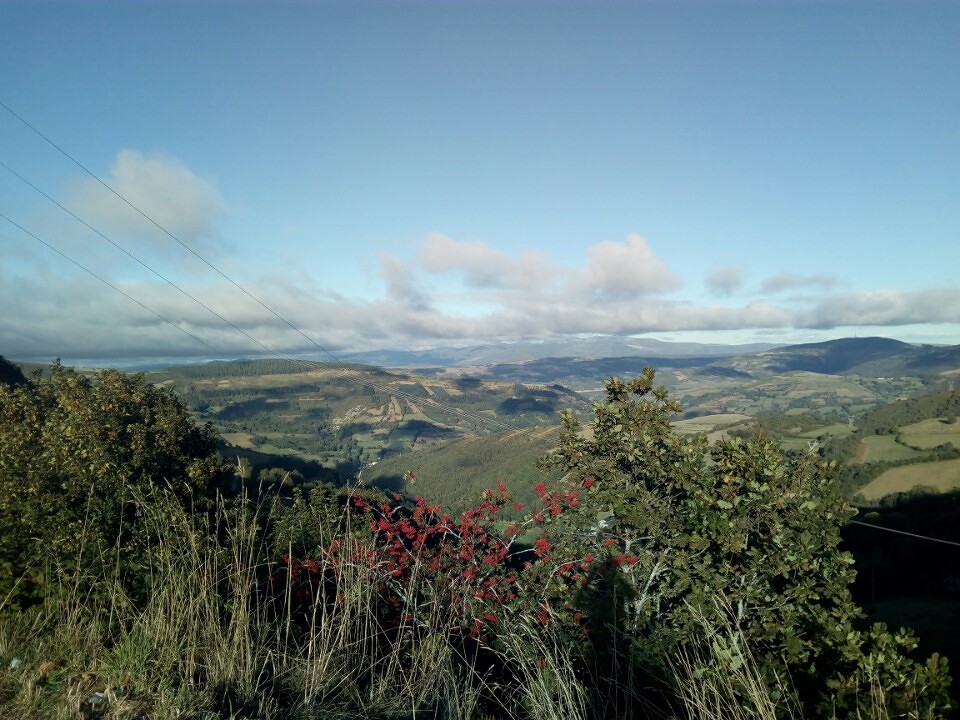 Galicië
