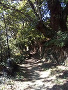 Pad naar Samos