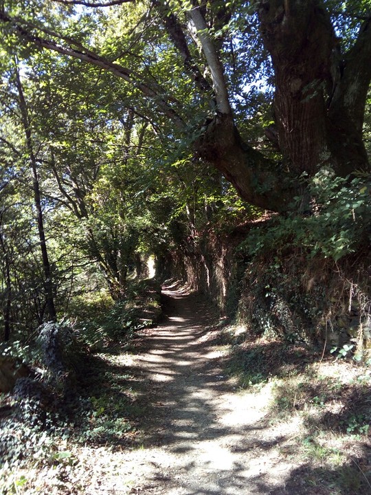 Pad naar Samos