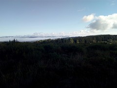 Boven op de berg