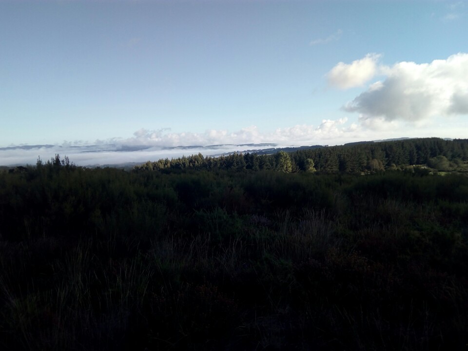 Boven op de berg