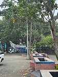 Batu Hiu