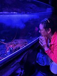 SEA LIFE Kelly Tarton's Aquarium