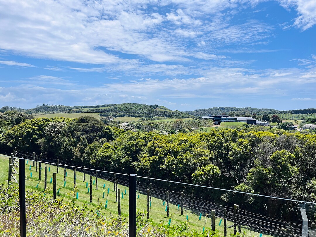 Cable Bay Views