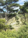 Waiheke Island