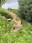 Hobbiton