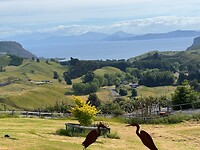 Hilltop Whakaipo Estate