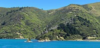 Marlborough Sounds