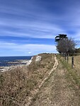 Coastal Walk Path Kaikōura