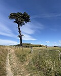 Coastal Walk Path Kaikōura