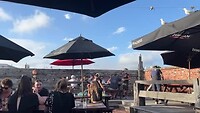 Zeemeeuwen op de loer….!