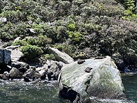Milford Sound