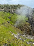 Blowhole at Pancake Rocks
