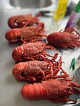 New Zealand crayfish....eigen vangst 🤤🤤