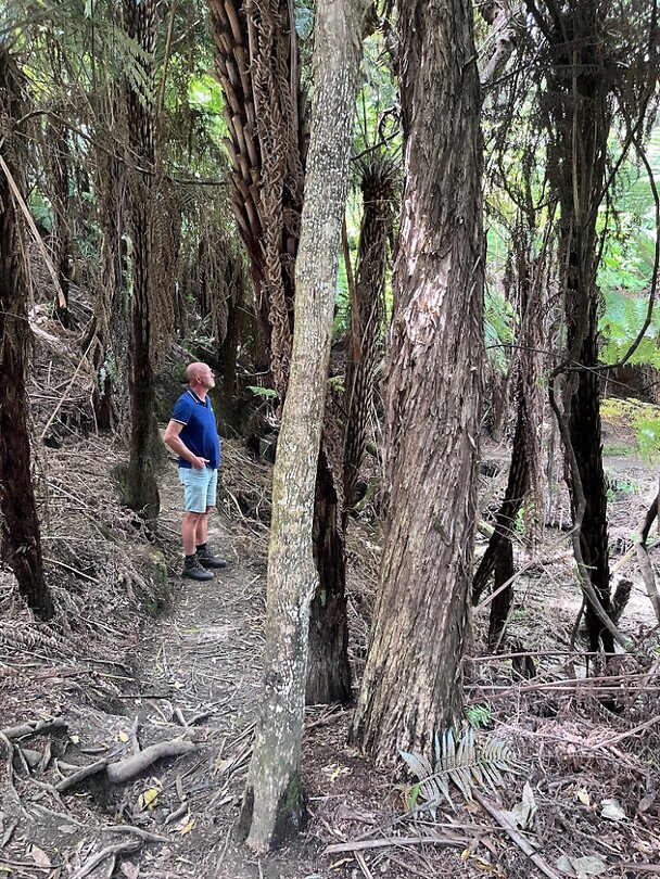 Walkpath to the Pinnacles