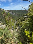 Walkpath Pinnacles