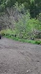 220528 Berg op.