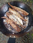 Caplin