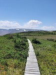 Gros Morne