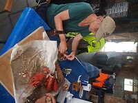 220627 Lobster eten op de wharf