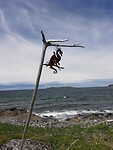 Draak bij vikingen