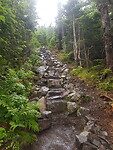 220801 Mont Albert