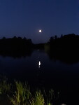 Bijna volle maan