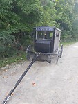 Buggy