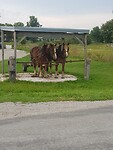 220925 ingespannen wachten