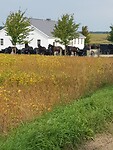 220922 te kerke 1