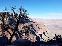 Grand Canyon view