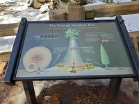 Info bord