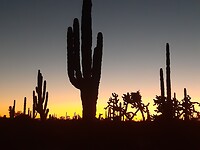 Zonsondergang op dezelfde plek als de bushcamp