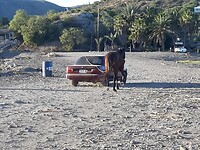 Ik neem mijn paard mee