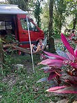 Camping in Palenque