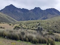 wandeling Cotopaxi NP