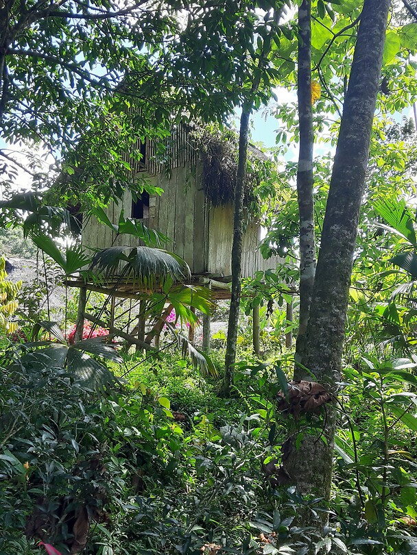 woning op palen