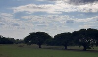 Pantanal in het zuiden