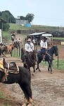 Rodeo gaucho's