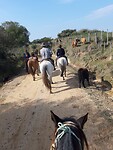 Onderweg als gaucho's