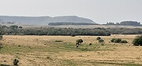 Het land van Rivera