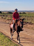 Te paard in Atlantida