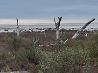 Zoutmeer  Miramar